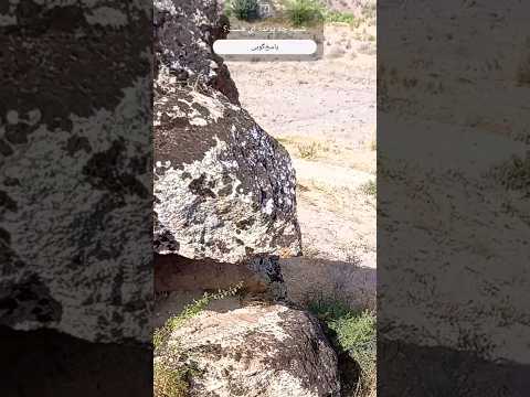 ???? ????? ?? ????? ????